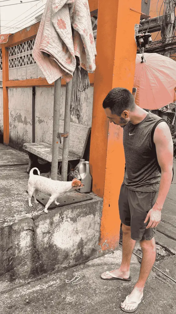 Interaction with a street dog