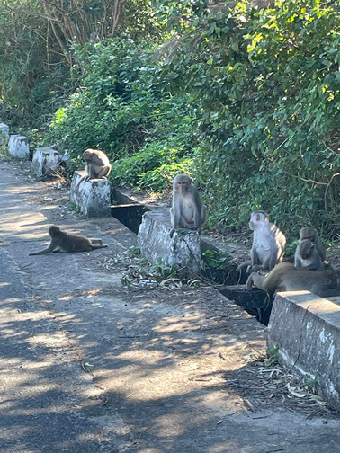 Monkey pass, Da nang