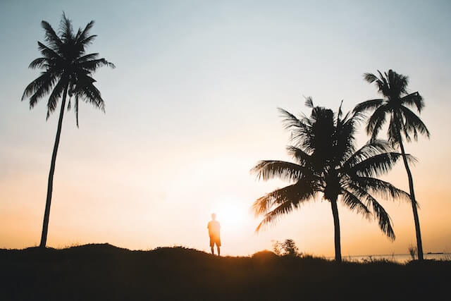 man standing near coconut trees during golden