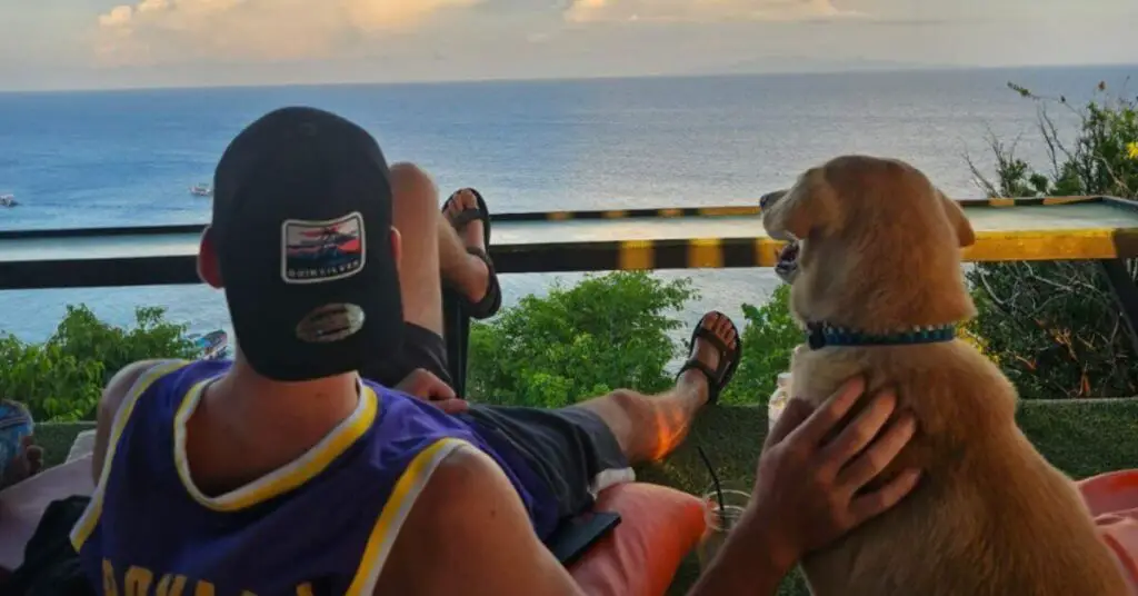 Looking towards the sunset with a dog in Koh Tao